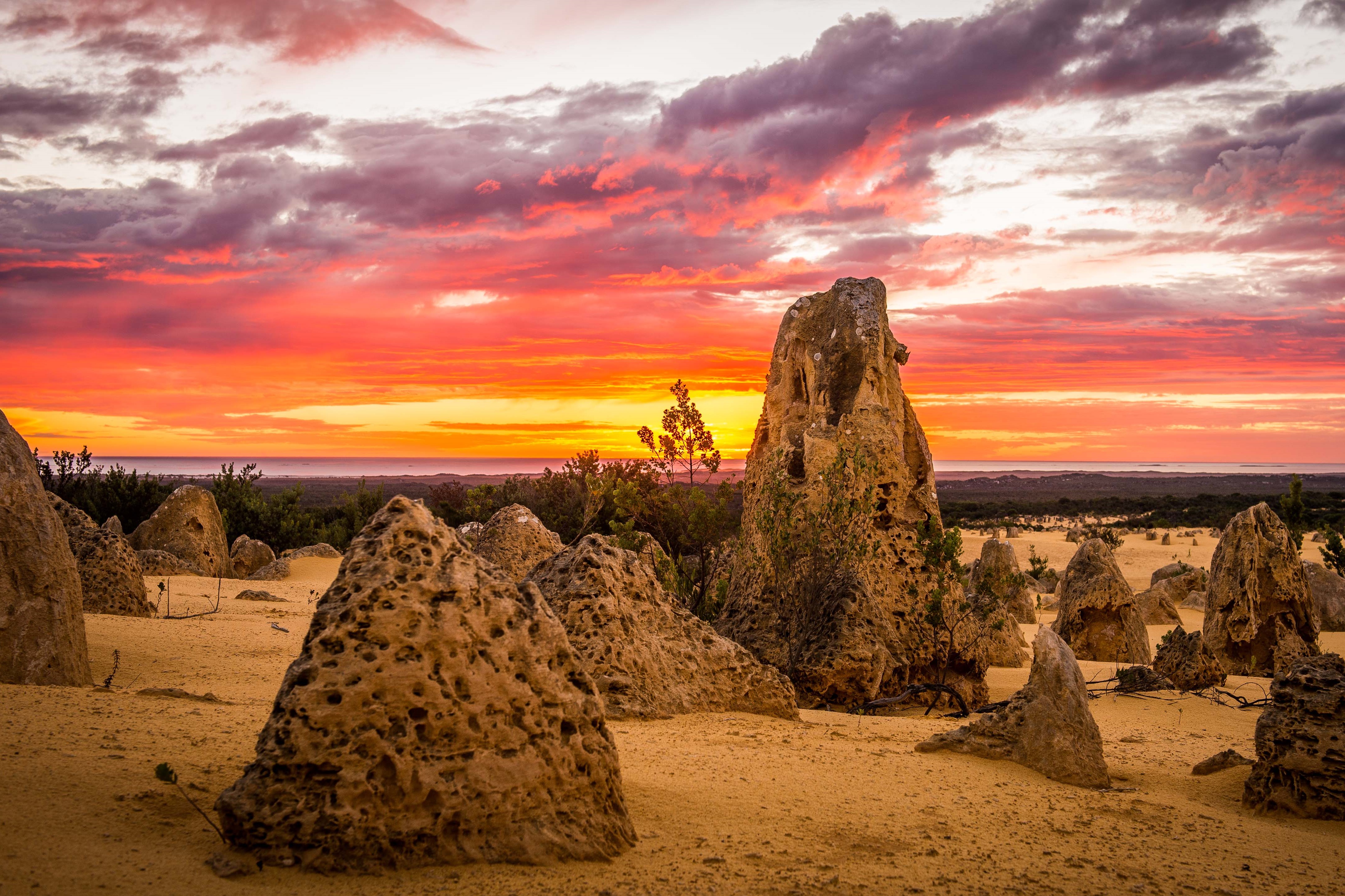 1-Day Pinnacles Sunset Dinner Stargazing Tour: Nambung National Park | Hangover Bay Coast | Indian Ocean Panoramic Landscape | **Admissions to National Parks** **Pick-up/drop-off service**