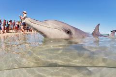 Autopia Tours: 4 Day Perth to Monkey Mia Coastal Loop Comfort Tour (Private Double/Twin Ensuite)