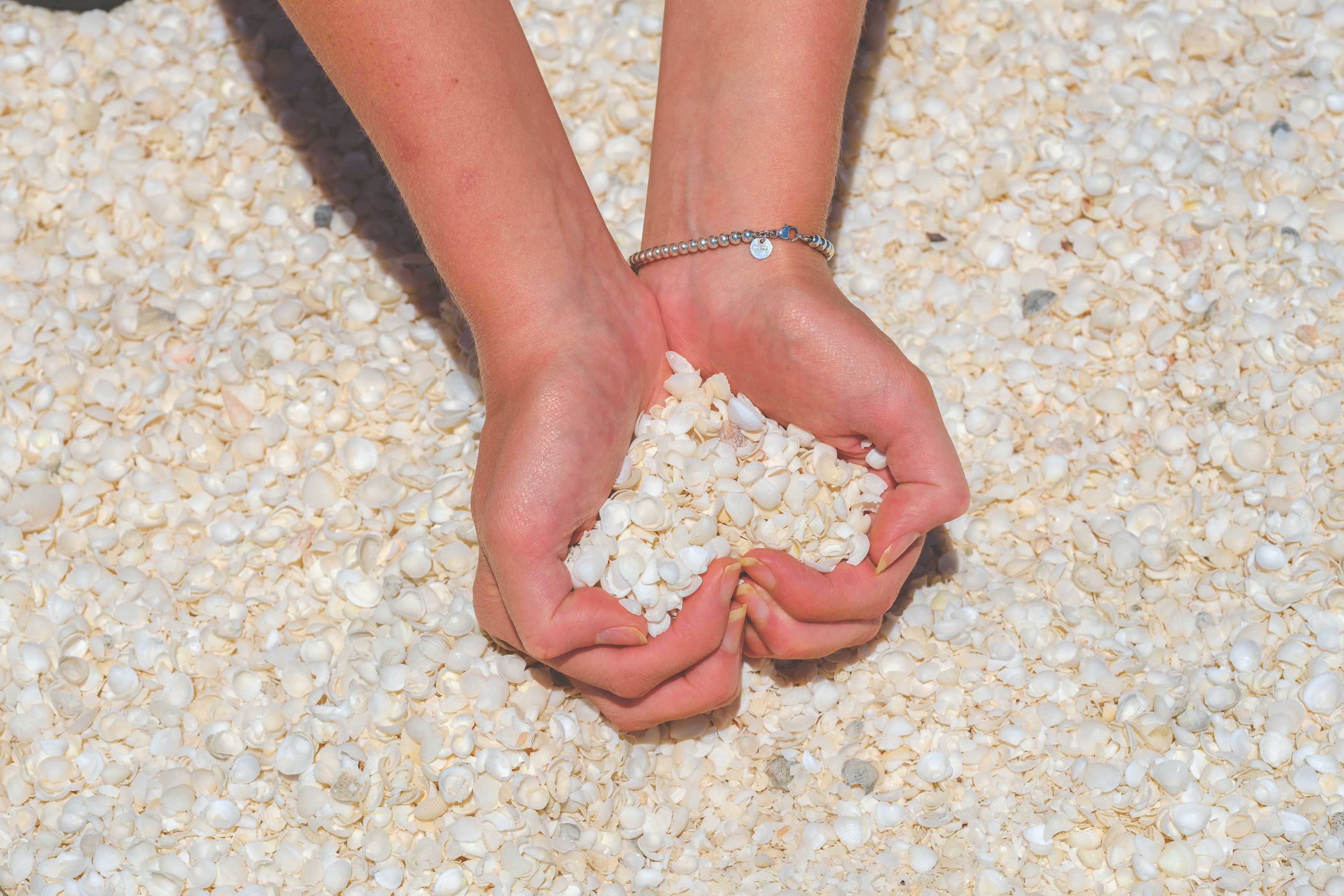 7-Day Perth to Exmouth Coral Coaster Tour (Standard Double/Twin Room): Kalbarri | Monkey Mia | Coral Bay | Ningaloo Reef | Geraldton 