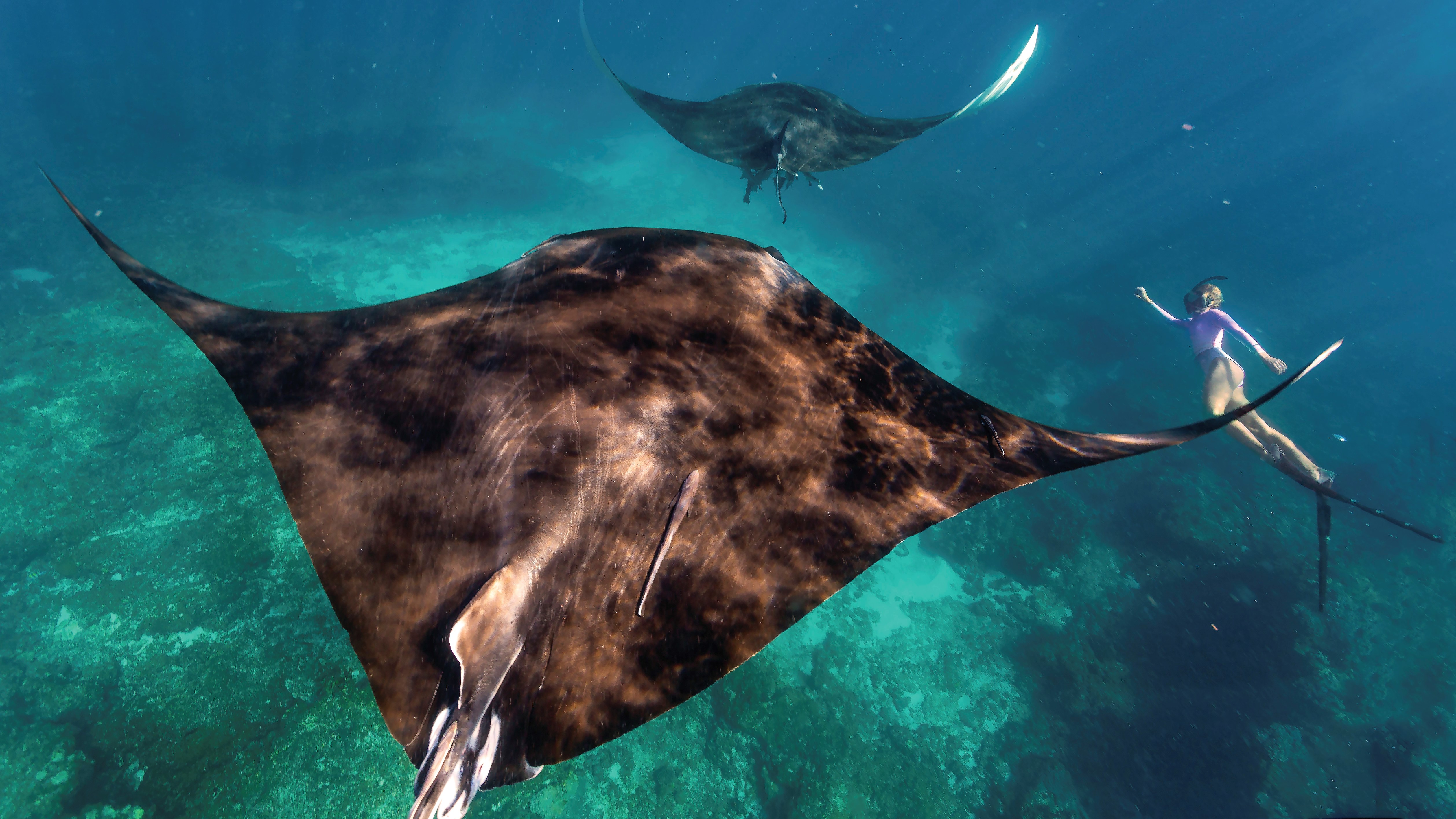 Autopia Tours: Perth to Exmouth 6 Day Coral Coaster (Double/Twin Share)