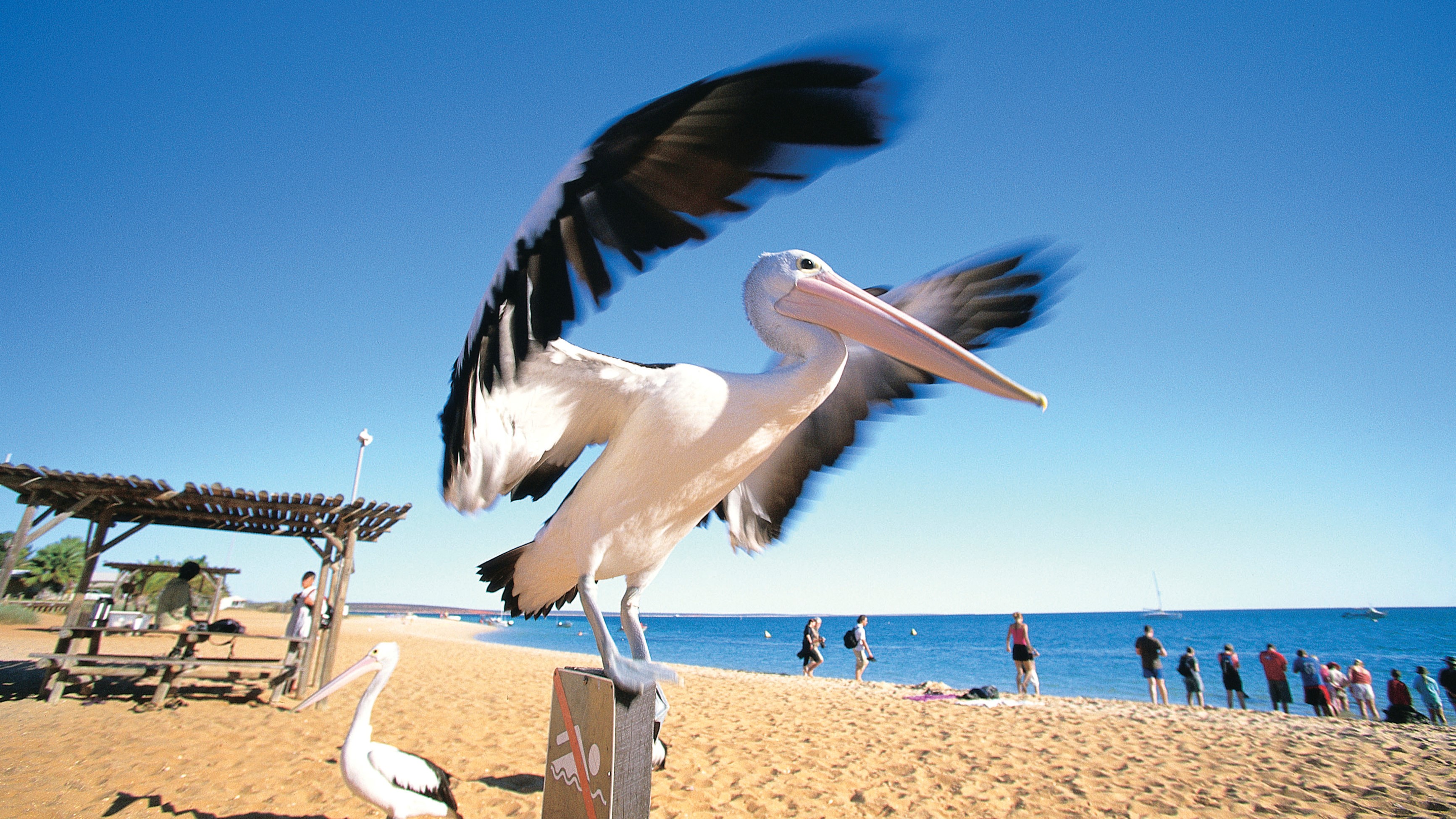 4-Day Coastal Loop Tour from Perth to Monkey Mia (Standard Double/Twin Room): Kalbarri | Monkey Mia Dolphin Resort | Geraldton 