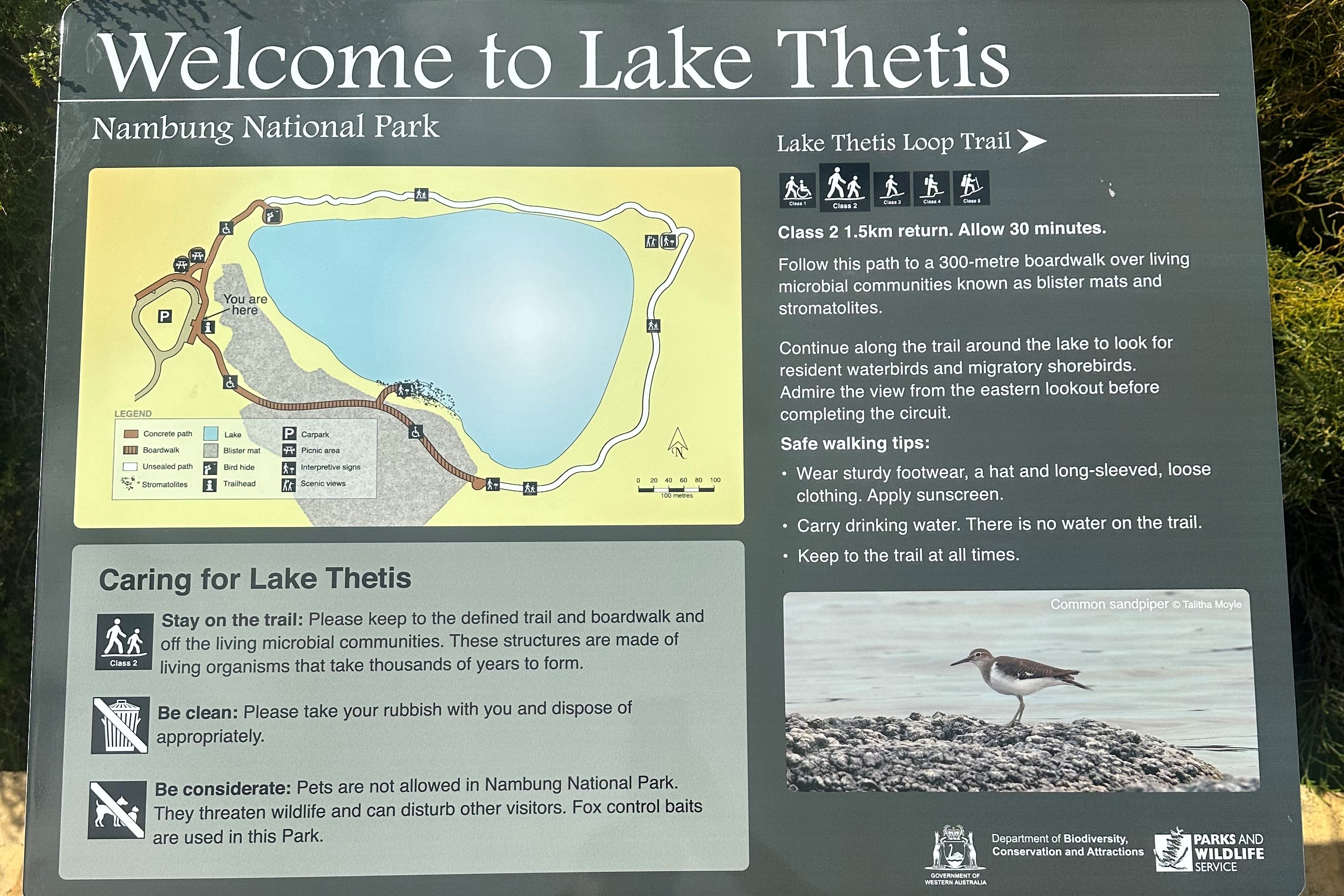 1-Day Pinnacles Lobster Lavender Tour: Nambung National Park | Yanchep Lavender Farm**Admissions to a National Park** **Pick-up/drop-off service**