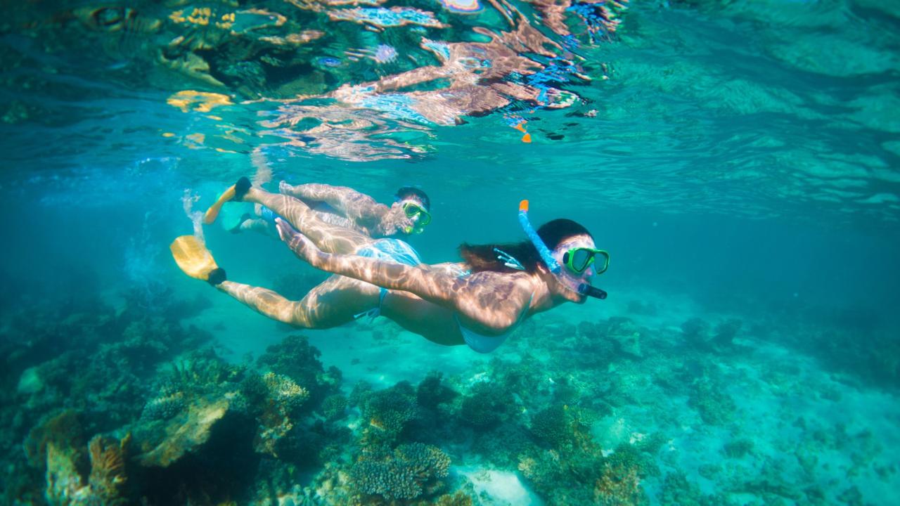 Autopia Tours: Perth to Exmouth 6 Day Coral Coaster Original Tour (Private Double/Twin Ensuite)