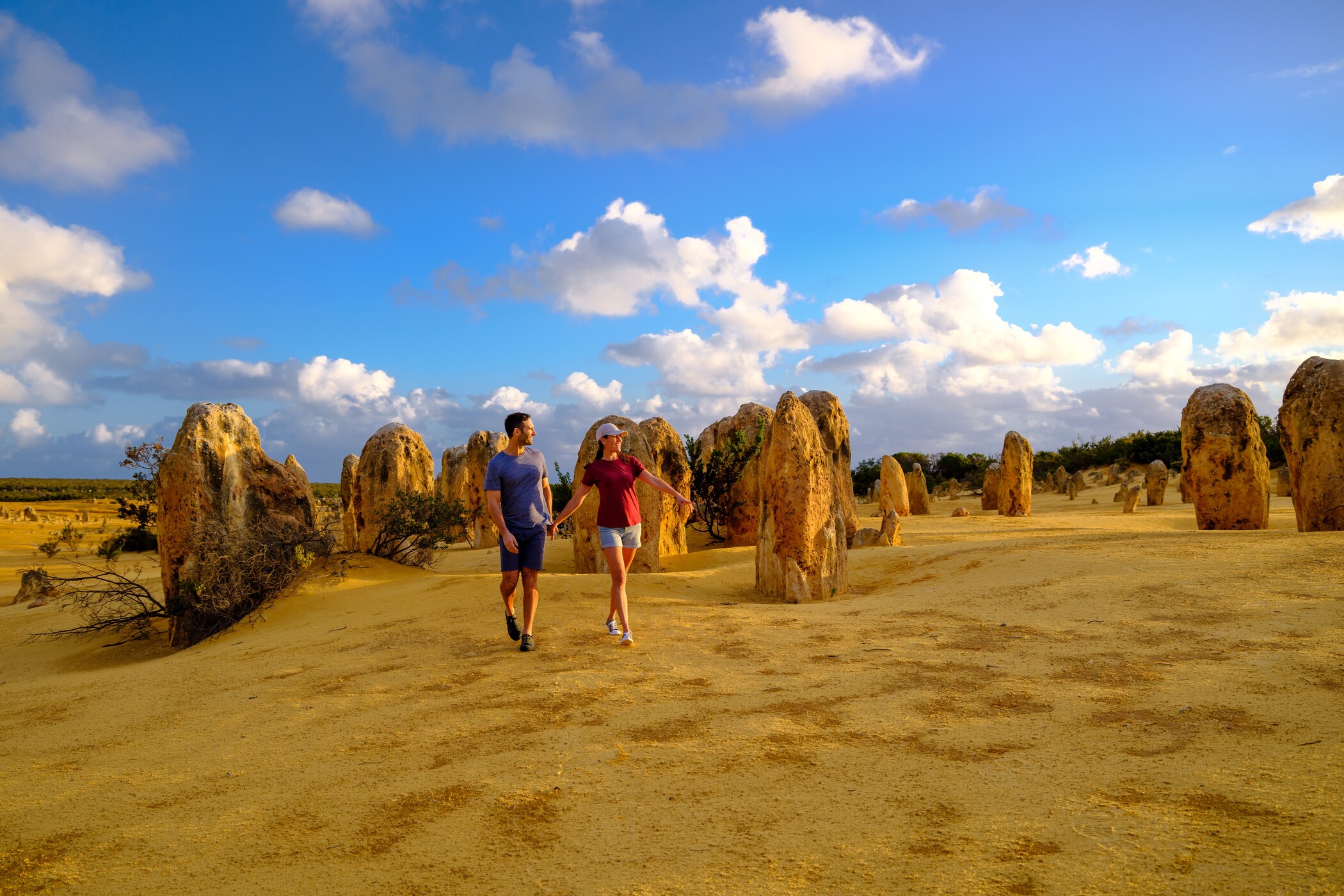 Wildlife Tours Australia: 1 Day Pinnacles Sunset Stargazing Telescope Tour