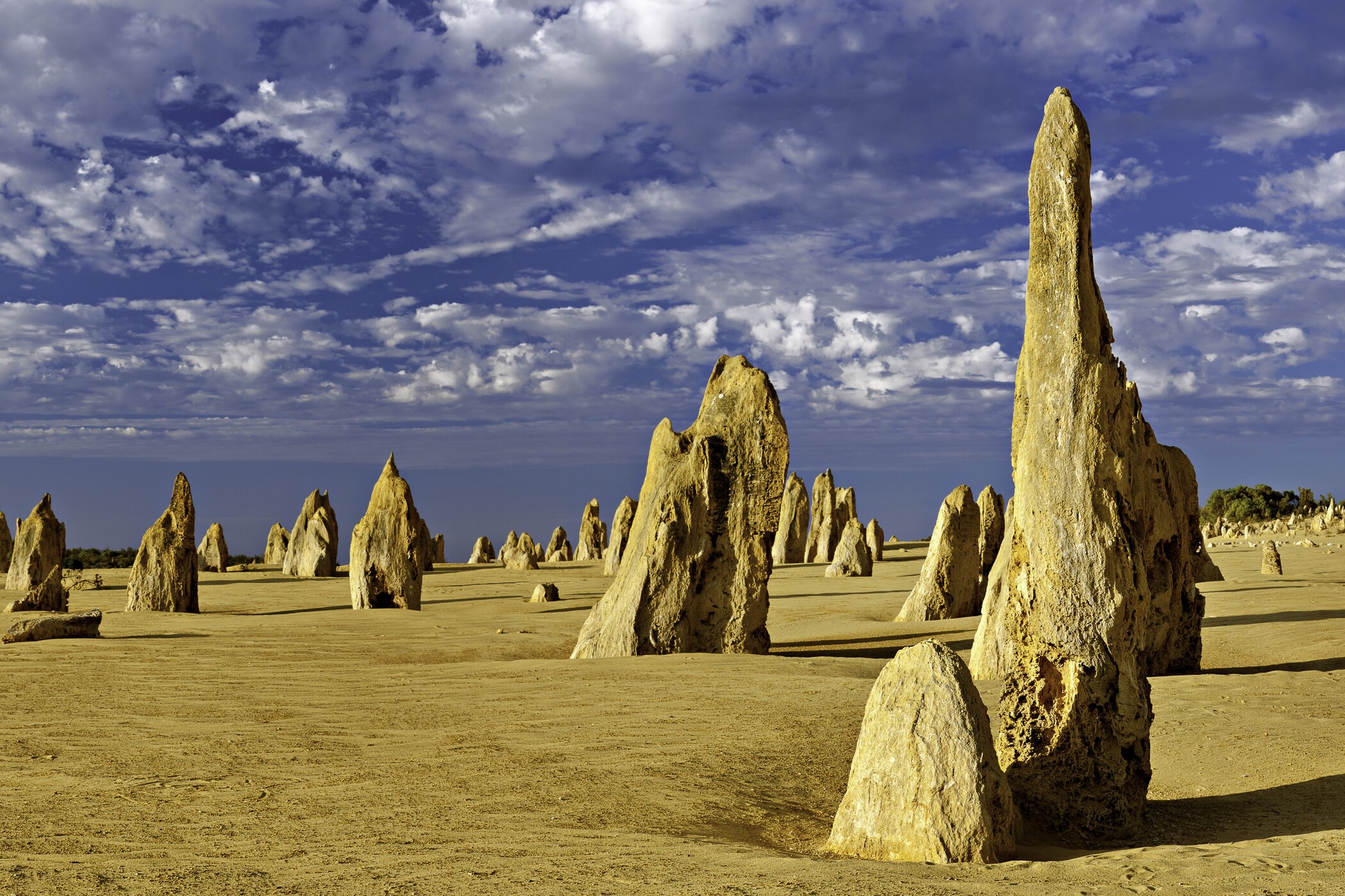 Wildlife Tours Australia: 1 Day Pinnacles Sunset Stargazing Telescope Tour