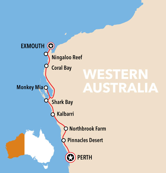 7-Day Perth to Exmouth Coral Coaster Tour (Standard Double/Twin Room): Kalbarri | Monkey Mia | Coral Bay | Ningaloo Reef | Geraldton 