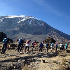 Kilimanajro Climbing Rongai Route 8 Days 7 Nights 