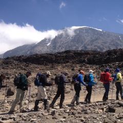 Kilimanajro Climbing Machame Route 8 Days 7 Nights 