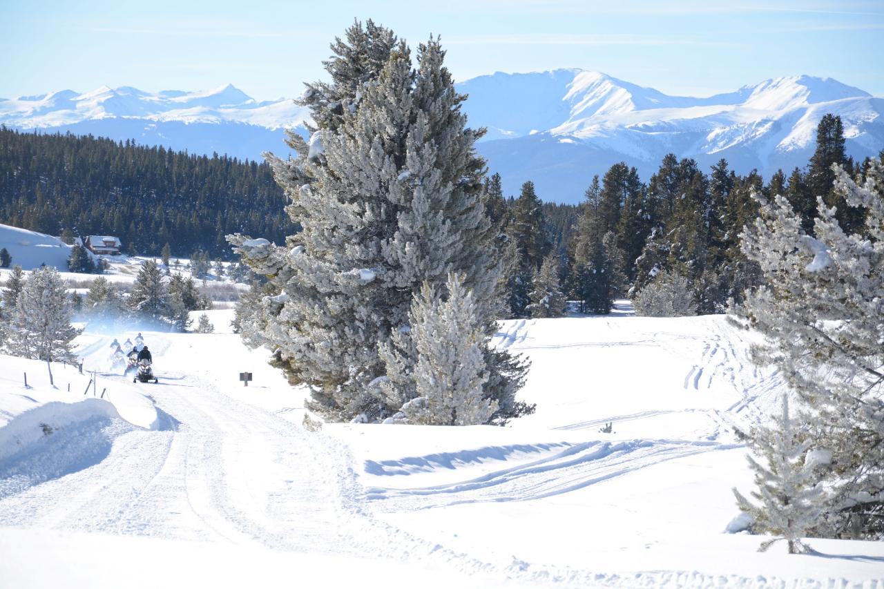 2024-WHITE MOUNTAIN 2-HR PROSPECTOR TOUR, CHECK-IN 30 minutes before your tour time AT THE TURQUOISE LAKE RIDING AREA AT 1668 COUNTY ROAD 99, LEADVILLE, CO.80461