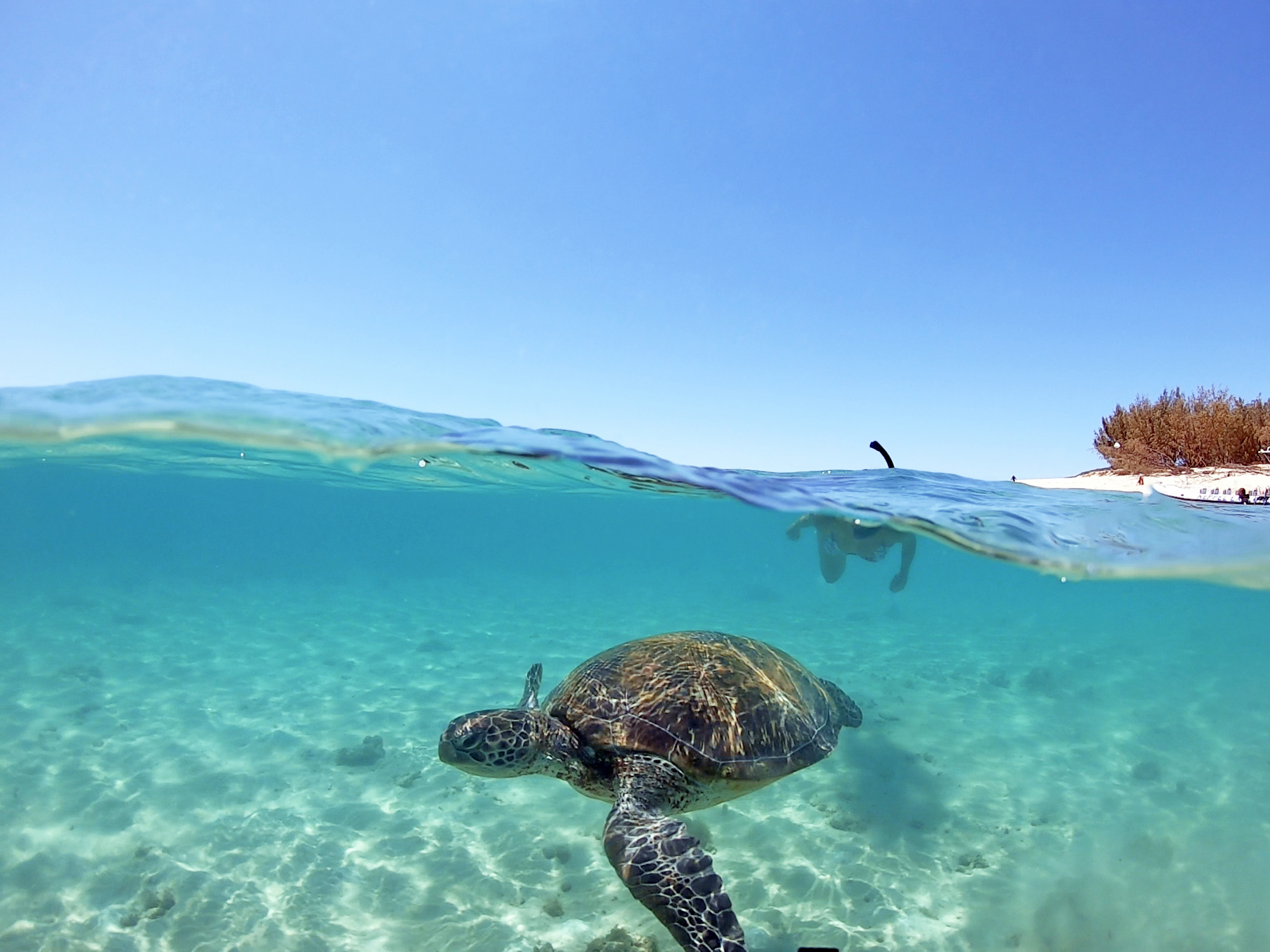 Great Keppel Island Hopper (5-IN-1) Cruise: Islands, Beaches, Reef, Snorkel and Lunch