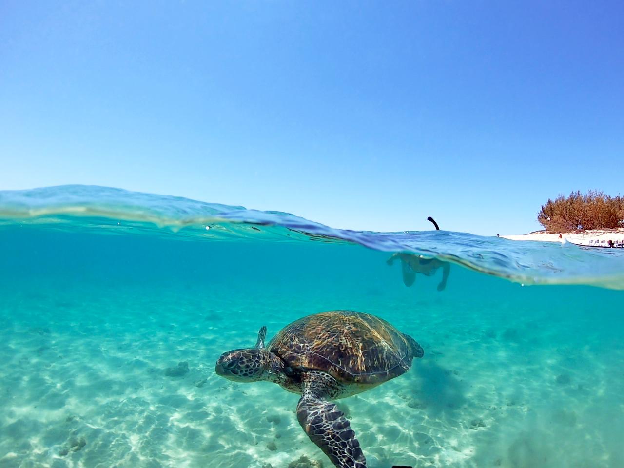 Great Keppel Island Boat Tour