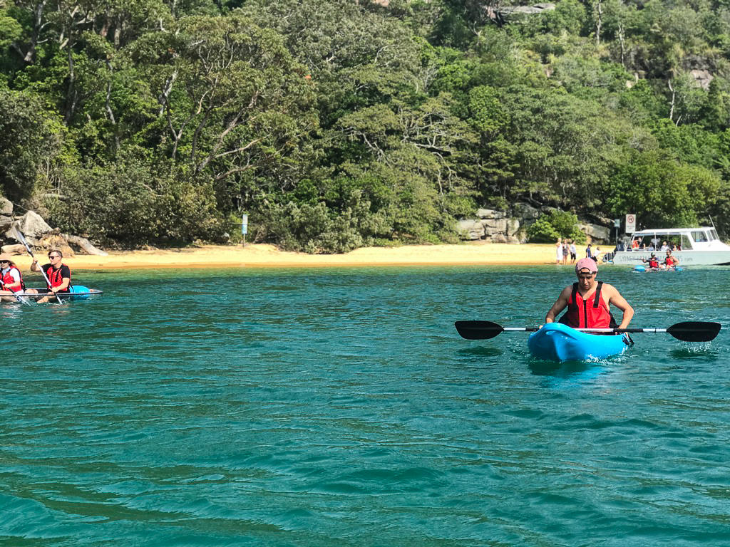 Clearview Single Kayak Hire Manly Sailing Reservations
