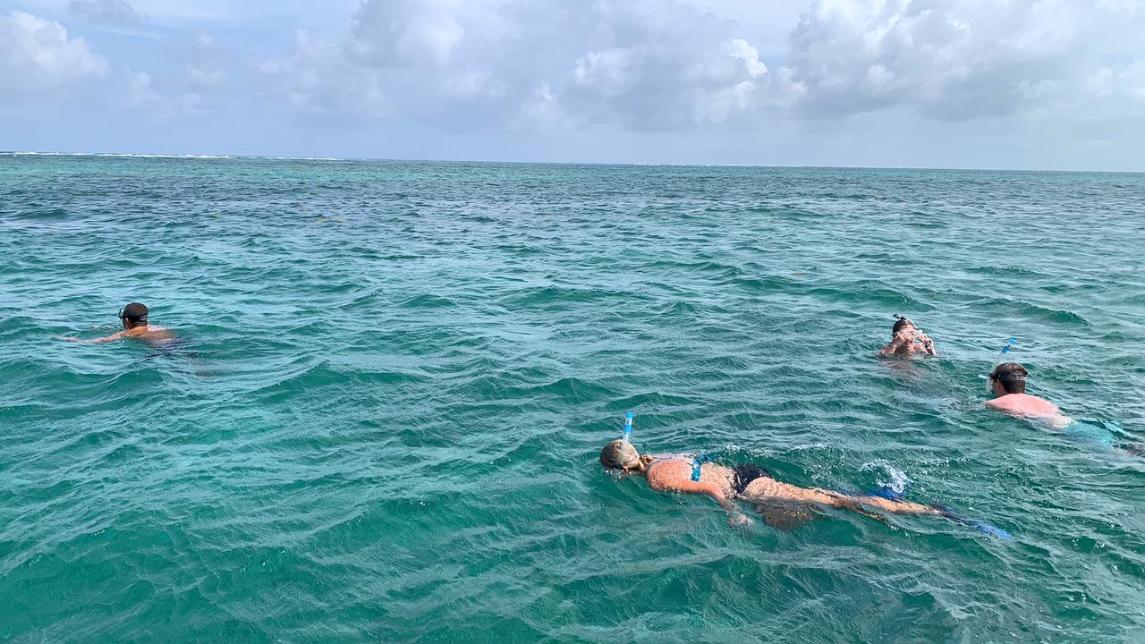 Snorkeling/Caye Caulker-Full Day