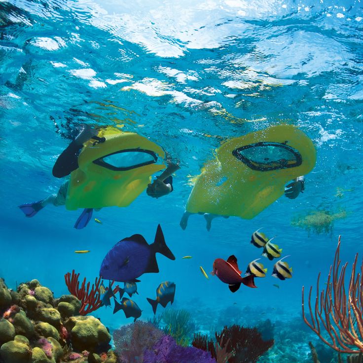 REEF BOARD HIRE