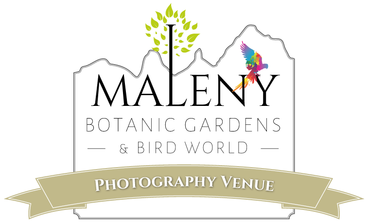 Garden Photography Venue