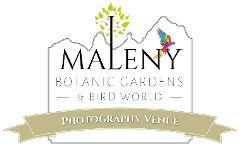 Garden Photography Venue