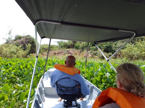 Pantanal & The Jaguar via Barao de Melgaço by SUV & Speedboat!