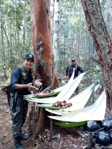 Amazon_Jungle_Survival_IX_WhatsApp_Image_2021_09_28_at_10.44.34