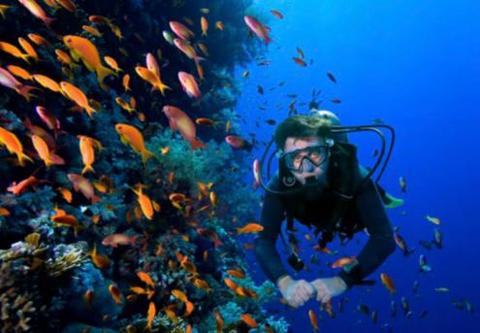 Búzios Batismo de Mergulho