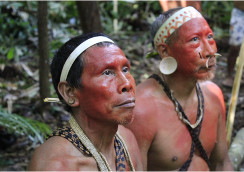 Kohanã Amazon Expedition - A Trip To The Javari River Valley