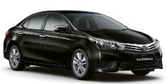 Carro Executivo & Guia à Disposição - 6 hrs 