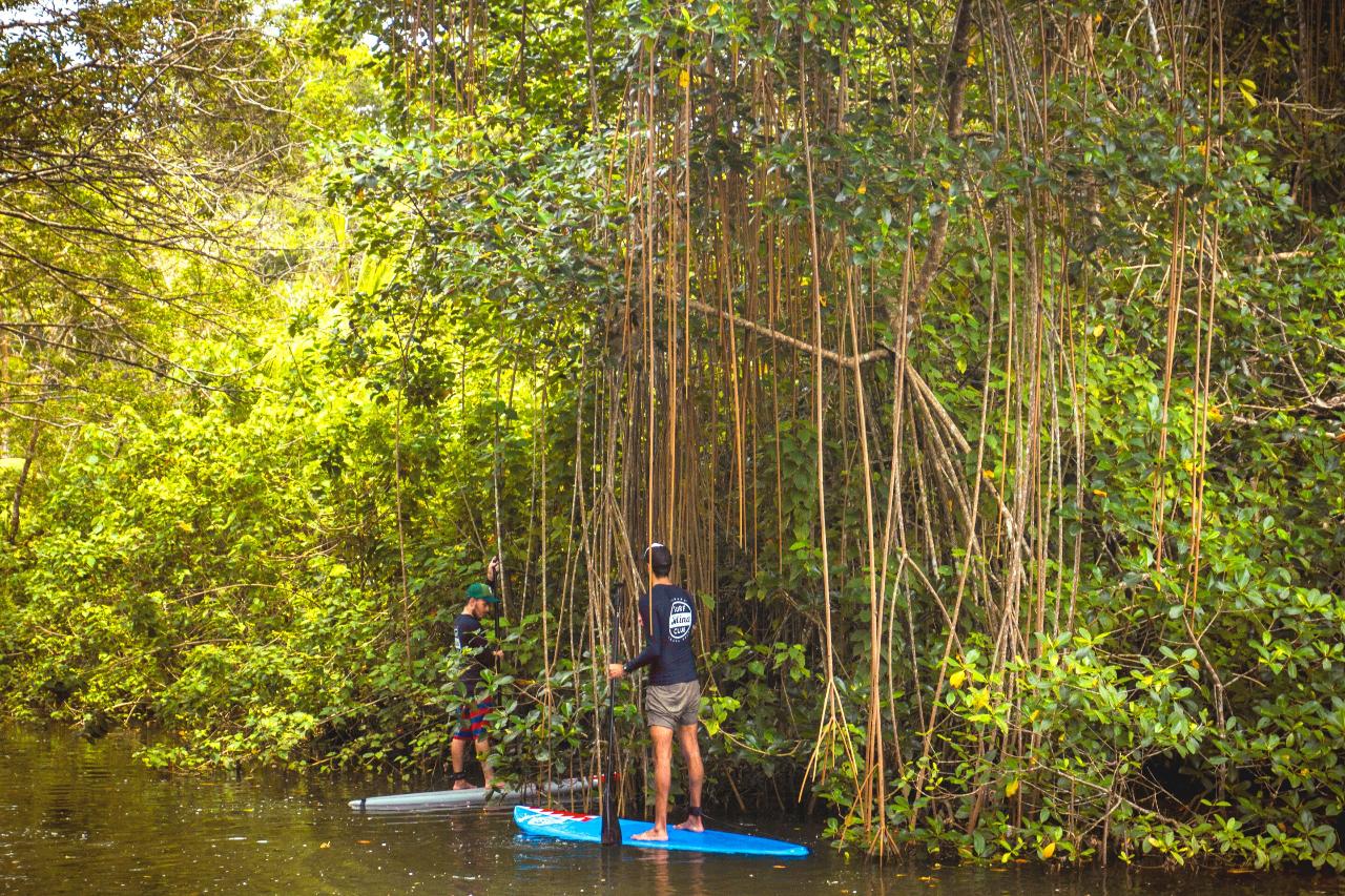 STAND - UP PADDLE TOUR