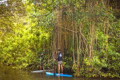STAND - UP PADDLE TOUR