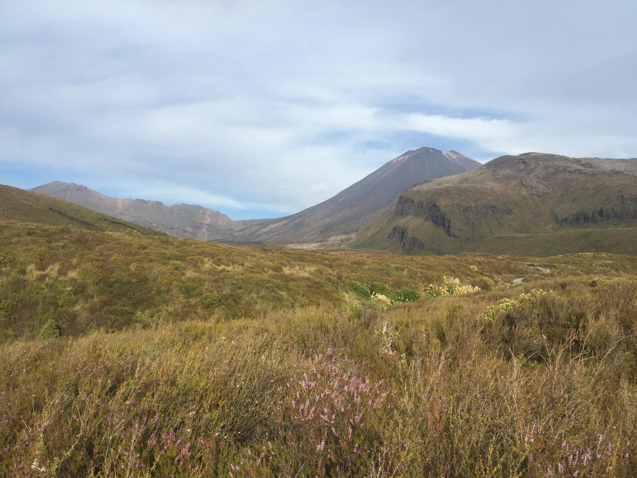 Tongariro Alpine Crossing - National Park Village Pick up and Return