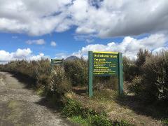 Waihohunu Hut - Round the mountain track
