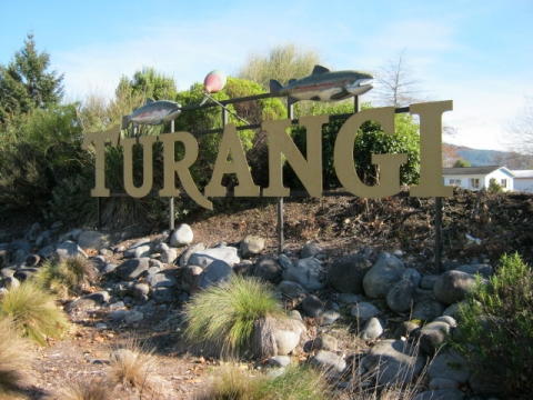 Turangi Service to or from National Park Village (or via Whakapapa, Owhango, Taumarunui)