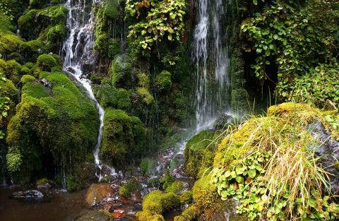 waitonga_falls_1200