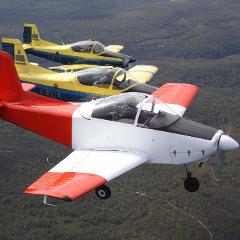 Hands on Aerobatic Experience- 30 minutes 