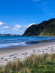 Pauanui Sandy Lunch And A Swim Helicopter Scenic Package