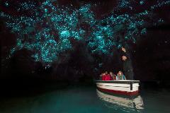 Waitomo Caves and Hobbiton Combo Helicopter Package