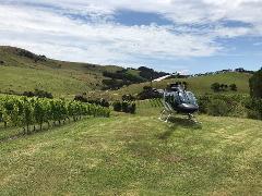 Stonyridge Vineyard Lunch - Waiheke Island Return (From Tauranga Airport) Via Helicopter
