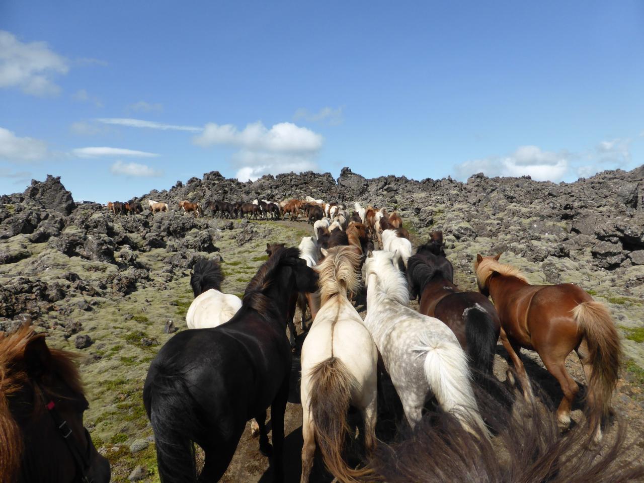 Snæfellsnes  - Autumn Special 2 days