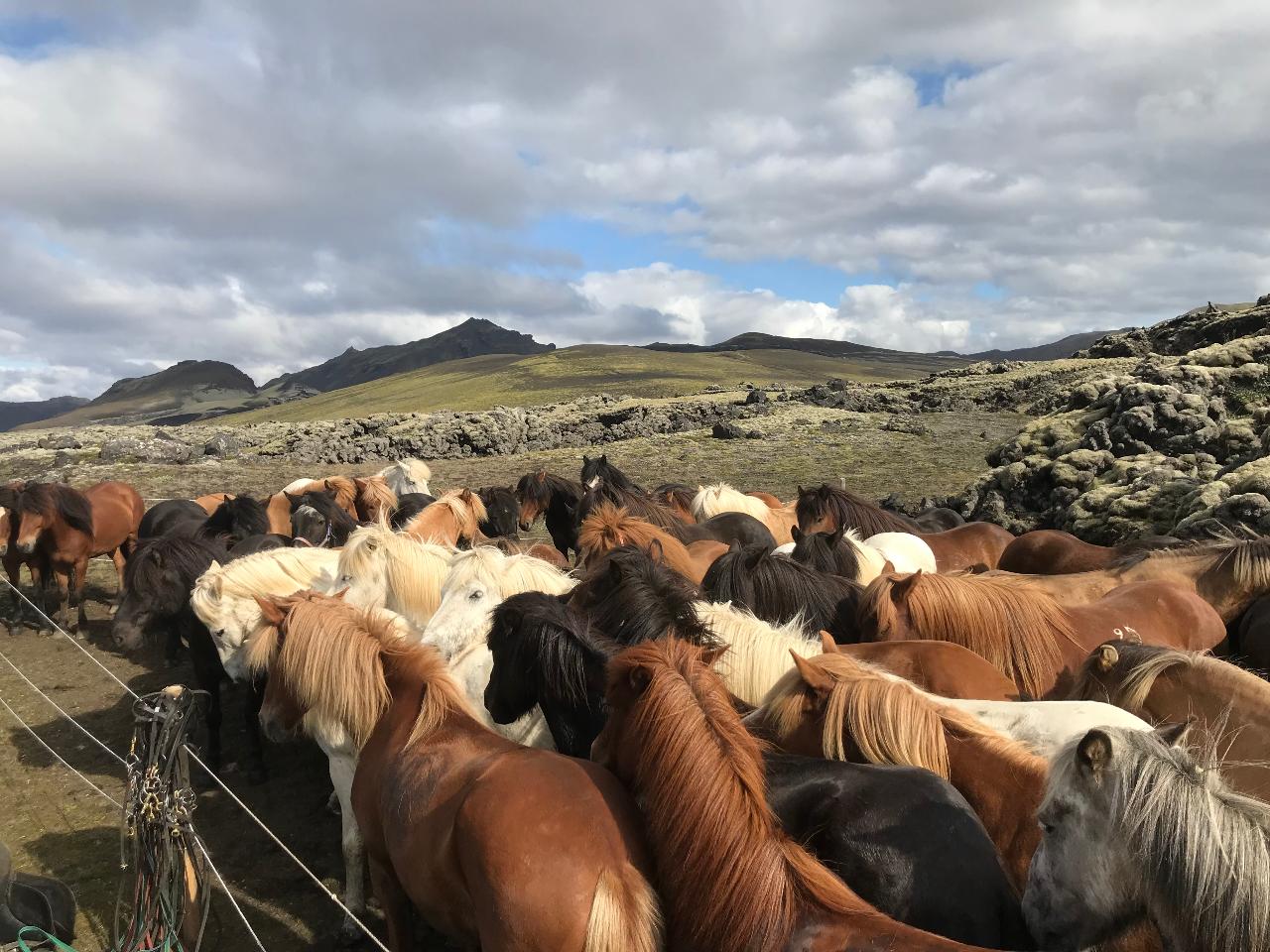 Southern Highland Adventure - Through Fjallabak and Landmannalaugar
