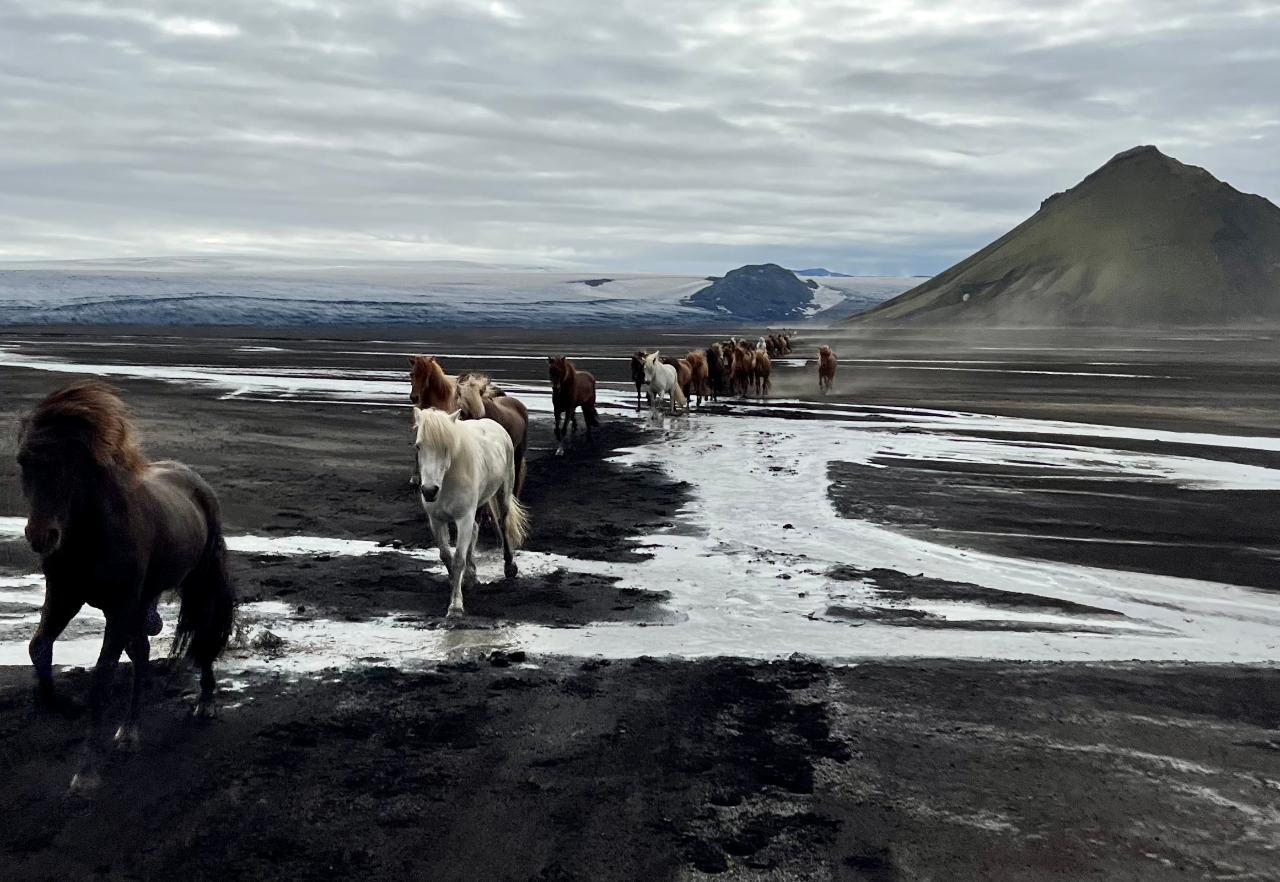 ISHESTAR Explorer: Mælifell tour