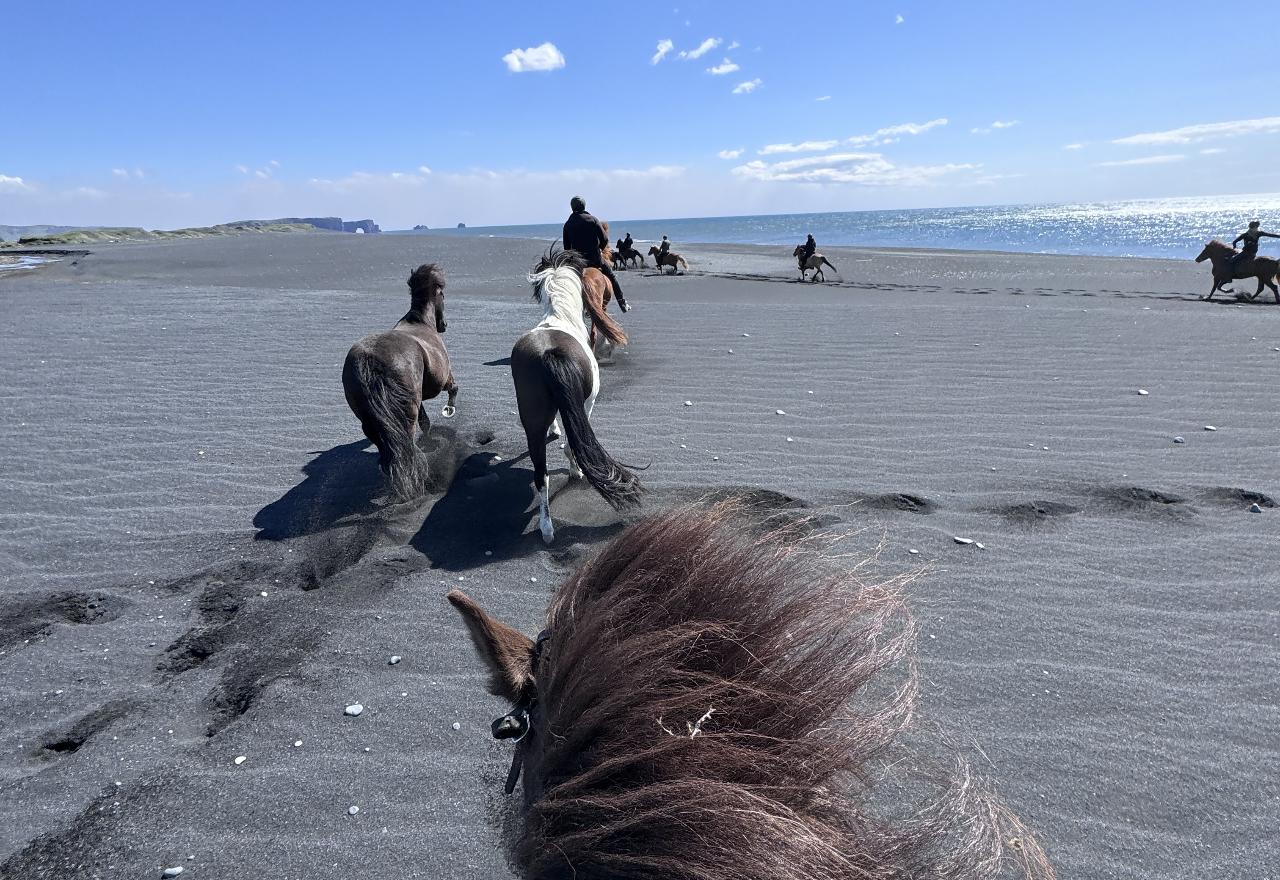 Between glaciers and the ocean: Black Sand Autumn Special