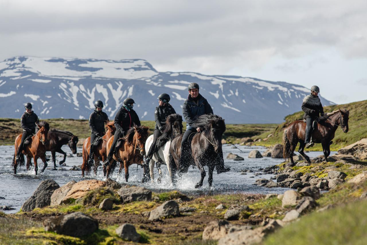 Wonders of the Kjölur Highlands