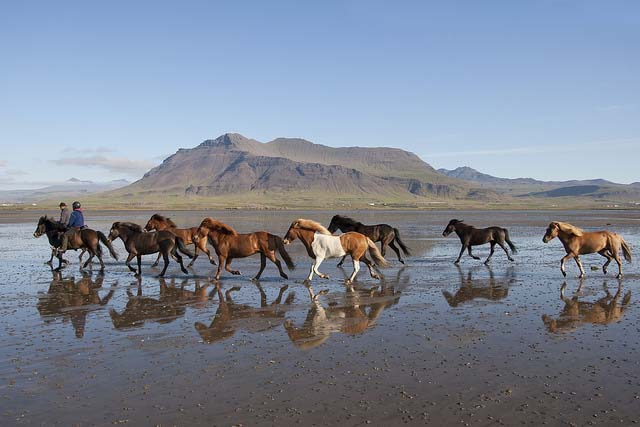 Snaefellsnes Beach Ride