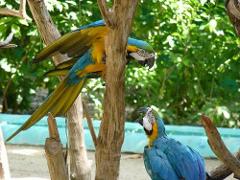 Manati Park 
