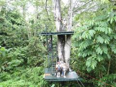 Zip Line Adventure