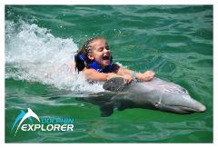 Dolphin Explorer 