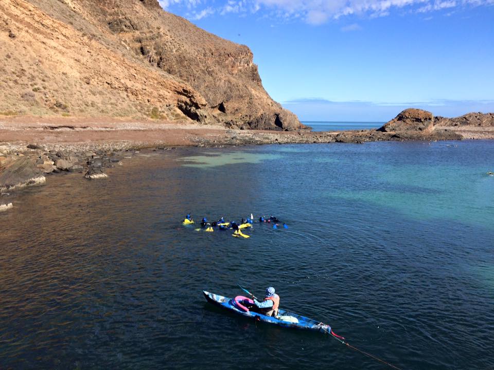 Blue Devil Snorkel, Second Valley Jetty - for beginners & all abilities