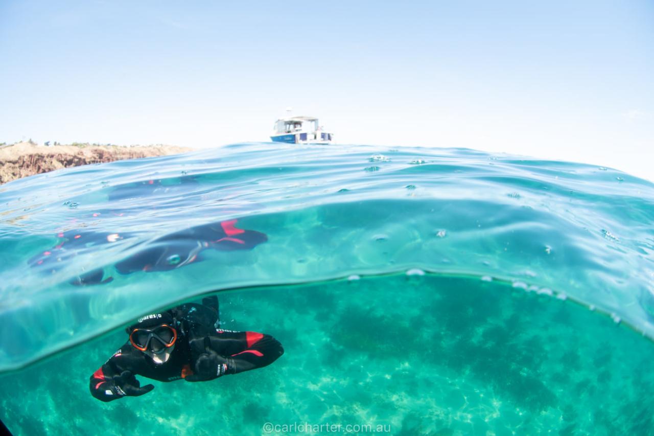 Snorkel Boat Tour - Port Noarlunga Outer Reef Sanctuary Zone & Marino Rocks