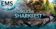 SOLD OUT Nakudla SharkFest Snorkel with PJs - Christies Beach - 10th November (rescheduled to 1st December)