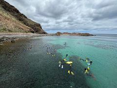 Snorkel Second Valley Jetty and Reef 
