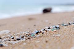 Current State of Plastic Pollution in South Australian Marine Ecosystems  – A Free Online Talk with Dr Nina Wootton and Sophie Dolling - 11th October
