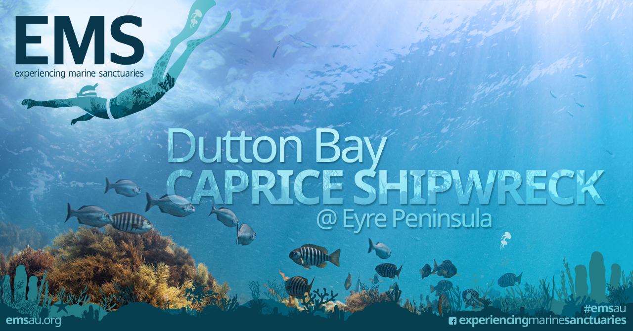 Snorkel Caprice Shipwreck and Mt Dutton Bay Jetty on Eyre Peninsula  - 14th January